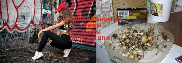 mix Сосновоборск